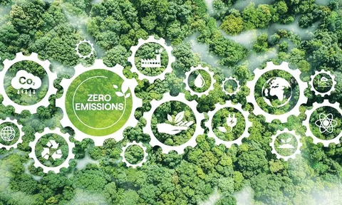 Kinh tế carbon thấp: Việt Nam đã thực sự sẵn sàng đến đâu?