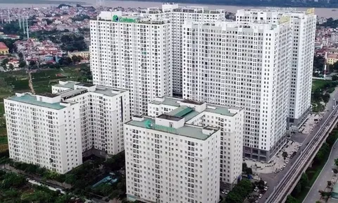 HoREA kiến nghị bỏ kiểm toán NƠXH không dùng đất công