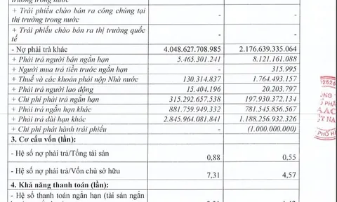 Chưa đầy một tháng, AAC Việt Nam vay nợ 1.250 tỷ qua trái phiếu