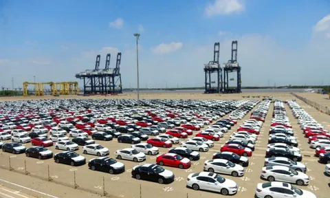 Nhập khẩu ô tô nửa đầu năm 2025 tăng mạnh