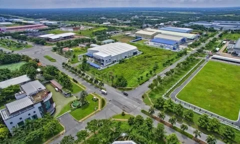 Giảm 30% tiền thuê đất năm 2025 theo Nghị định mới