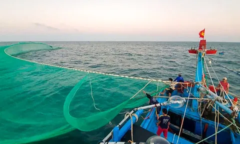 Quyết tâm gỡ 'thẻ vàng' IUU, phát triển bền vững ngành thủy sản Việt Nam