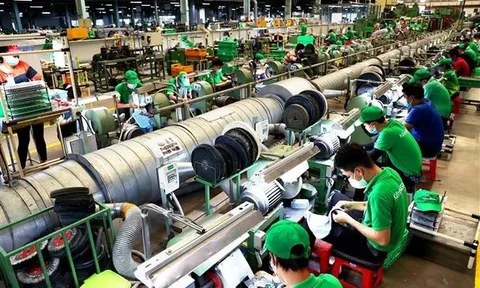 Chuyển đổi kép thúc đẩy năng suất trong doanh nghiệp công nghiệp và năng lượng