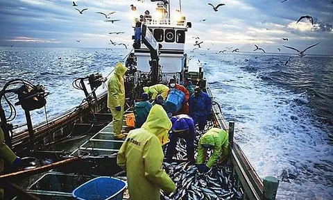 Hạ tầng: “Chìa khóa mềm” gỡ thẻ vàng IUU