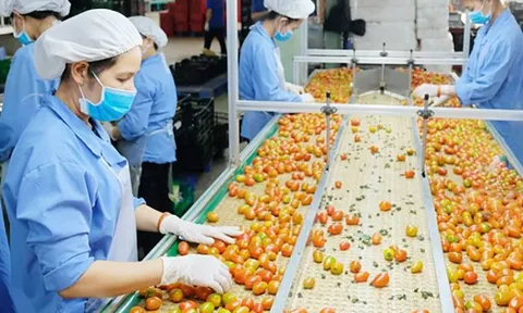 Xuất khẩu nông lâm thủy sản bứt tốc mạnh mẽ, đạt gần 17 tỷ USD