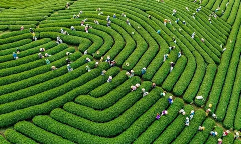 Điều chỉnh Quy hoạch 6 vùng: Nhấn mạnh yêu cầu phát triển bền vững