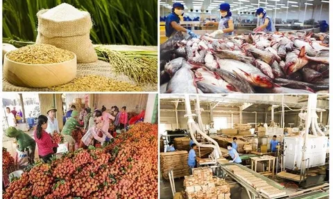 Xuất khẩu nông lâm thủy sản đạt 23 tỷ USD trong 4 tháng