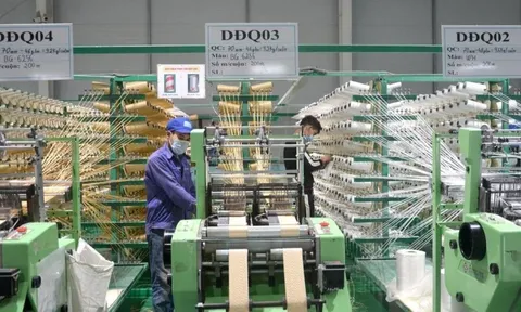 Tuyên Quang: Xử phạt hơn 200 triệu đối với hai doanh nghiệp vi phạm trong lĩnh vực môi trường