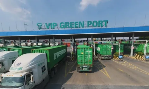 Viconship cập nhật phương án phát hành lô trái phiếu 1.500 tỷ