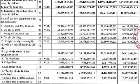 IDI: Lãi tăng hơn 50% nhưng vay nợ 5.500 tỷ đồng và gần 1.000 tỷ phải thu chưa thuyết minh