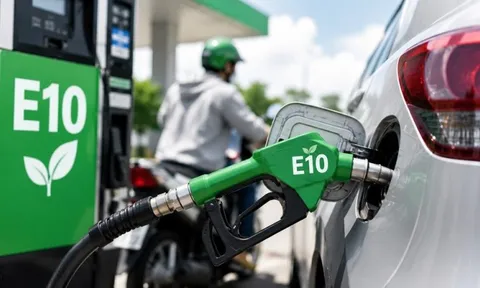 Có cần xả hết nhiên liệu cũ trước khi chuyển sang xăng E10?