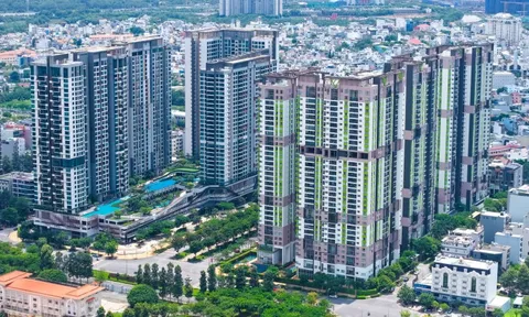 ‘Dòng tiền đang tìm đến những thị trường có nền tảng tăng trưởng thực’