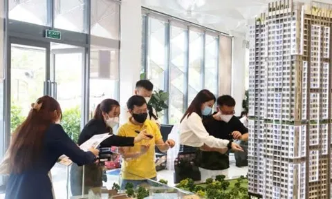 Giá căn hộ Hà Nội hạ nhiệt sau giai đoạn tăng nóng