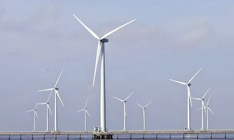 Nhà đầu tư điện gió ngoài khơi phải có tối thiểu 20% vốn chủ sở hữu