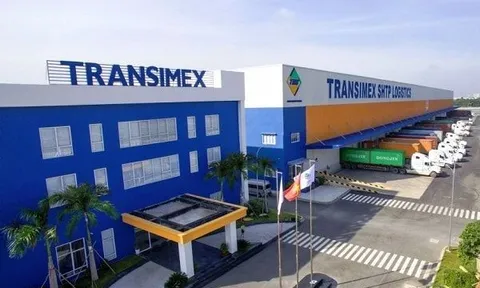 Transimex: Bị phạt 555 triệu đồng, lợi nhuận từ công ty liên kết chiếm tỷ trọng lớn