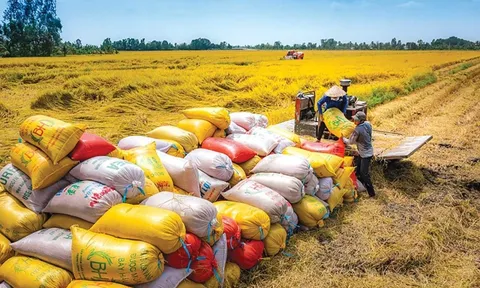 Giải pháp thúc đẩy xuất khẩu gạo, góp phần tăng trưởng 2 con số
