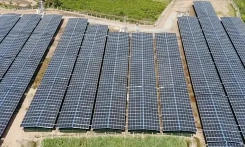 Điện Gia Lai lãi hơn 270 tỷ đồng, điện gió là trụ cột doanh thu
