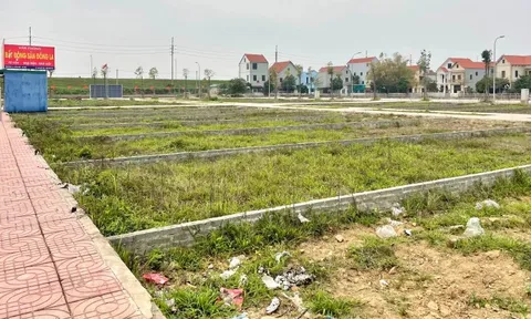 Đất nền vùng ven giảm tới 65% sau cơn sốt, thanh khoản vẫn thấp