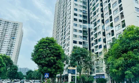 Savills: Người mua chung cư đang trở nên kỹ tính và nhạy cảm hơn về giá