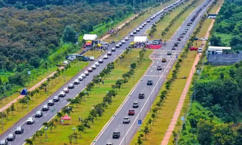 Phía sau cơn sốt “vàng xanh” sầu riêng: Khi sản lượng không còn là thước đo duy nhất