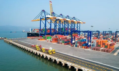 Xuất khẩu tăng tốc nửa đầu tháng 8/2026
