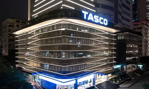 CMC muốn mua 99,9% vốn tại TTL Holdings