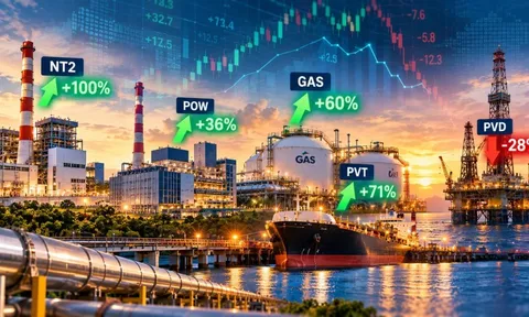 SSI Research dự báo: Lợi nhuận nhóm năng lượng quý III phân hóa, NT2 tăng gấp đôi, PVD giảm 28%