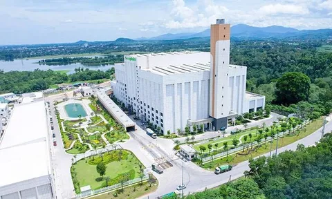 AMACCAO và “rổ” tài sản bảo đảm trải từ dòng tiền đến dự án điện rác (Bài 8)