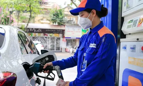 Xây dựng tiêu chuẩn mới về mức tiêu thụ nhiên liệu ô tô con