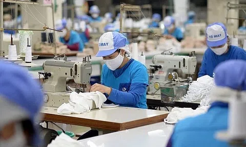 Tăng trưởng xuất khẩu ngành dệt may chưa ổn định, đơn hàng đã trở lại nhưng giá còn thấp