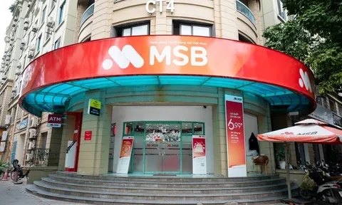 Gần 700 tỷ đồng 'đổ' về MSB