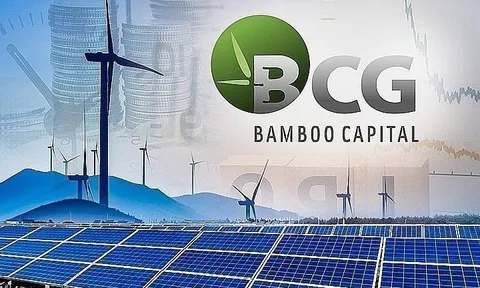 Bamboo Capital bổ nhiệm tân Phó Tổng giám đốc
