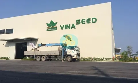 Vinaseed bị truy thu, xử phạt gần 1,4 tỷ đồng do sai phạm về thuế