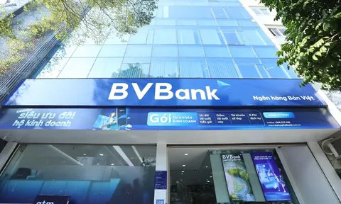 BVBank: Lãi tăng gần 6 lần, nợ xấu tăng gấp đôi tốc độ tín dụng