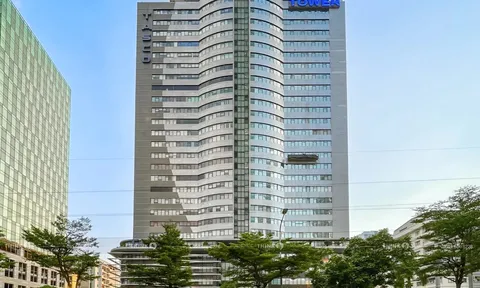 CEO báo lãi tăng gần 54% trong 6 tháng đầu năm, tiền giảm hơn một nửa
