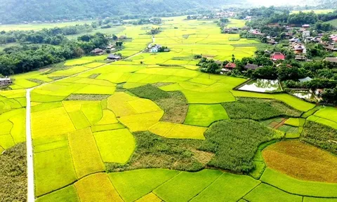 Khám phá "Làng du lịch tốt nhất" Lâm Thượng, Lào Cai