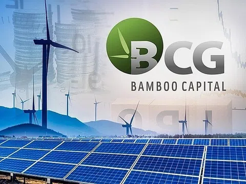 Tăng vốn lên 8.000 tỷ đồng, Bamboo Capital có 3 cổ đông lớn