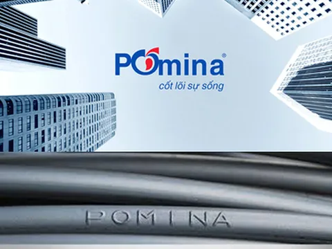 Pomina triệu tập họp cổ đông bất thường, bàn phương án tái cấu trúc