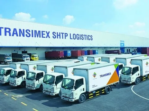 Transimex gom bất thành cổ phiếu công ty con