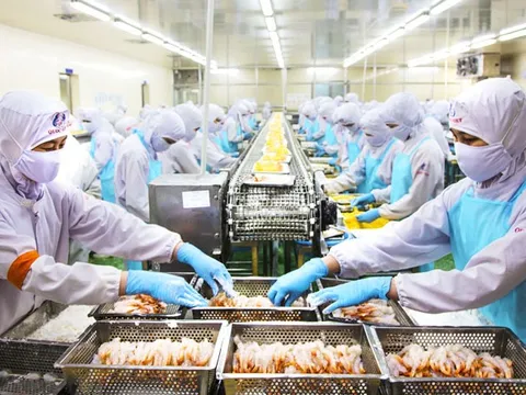 Thủy sản Việt Nam đặt mục tiêu xuất khẩu 14–16 tỷ USD mỗi năm đến 2030