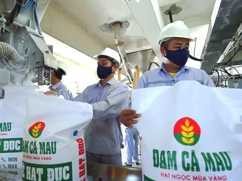 Đạm Cà Mau tăng mục tiêu lợi nhuận năm 2025 lên 1.448 tỷ đồng