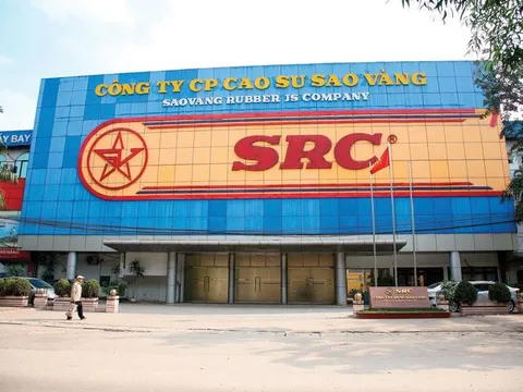 Vì sao Cao su Sao Vàng tăng 21% lợi nhuận sau kiểm toán?