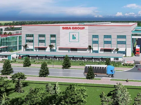 Siba Group: Nợ vay tăng 63%, liên tục phải thanh lý tài sản