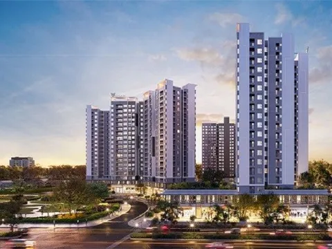 Nợ thuế quá hạn trên 102 tỷ đồng, Công ty TNHH Western City bị dừng thủ tục hải quan