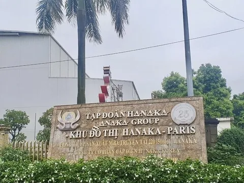 "Ém" thông tin, Tập đoàn HANAKA bị phạt