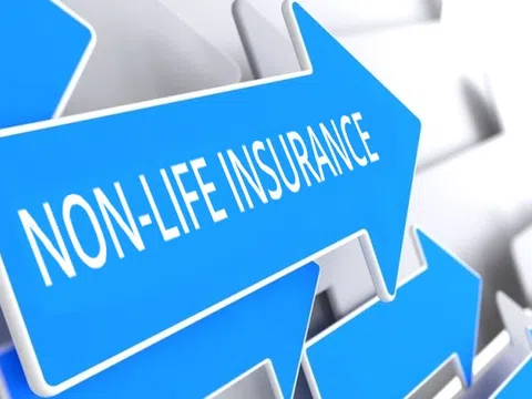 Xuất hiện công ty bảo hiểm phi nhân thọ mới Techcom Non-life Insurance