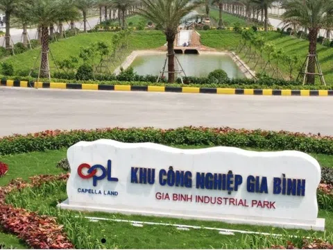 Công ty con của Capella Land làm dự án KCN 1.657 tỷ đồng tại Nam Định