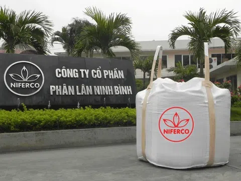 Phân lân Ninh Bình (NFC) bị xử phạt thuế lần thứ 2 liên tiếp trong chưa đầy nửa tháng