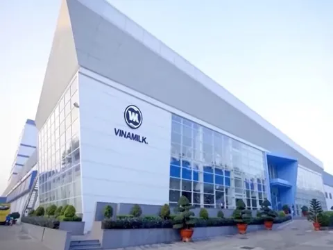 Doanh thu thị trường nội địa giảm khiến lãi ròng Vinamilk đi lùi 29%