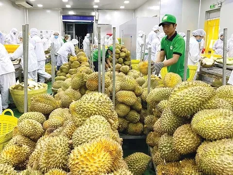 Doanh nghiệp đẩy mạnh xuất khẩu, tăng tốc về đích 6 tháng cuối năm 2025